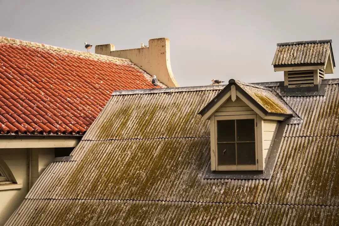 Toiture ancienne envahie de mousse autour d'une lucarne